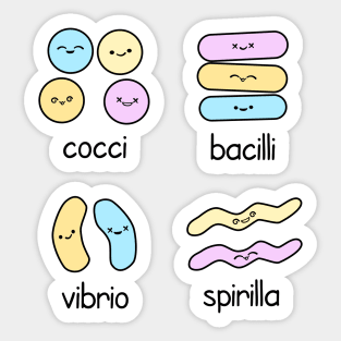 Kawaii Bacteria Classification Sticker